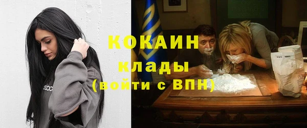 apvp Гатчина