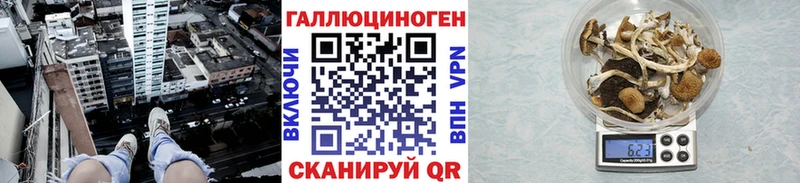 Псилоцибиновые грибы Psilocybine cubensis  купить наркотики цена  дарк нет клад  Краснознаменск 